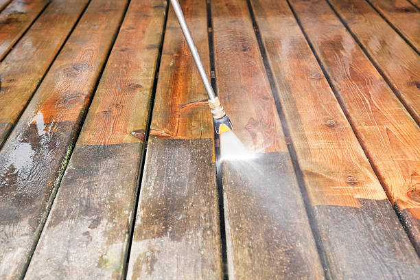 Best Exterior Home Cleaning  in Nashvle, IL